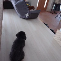画像258