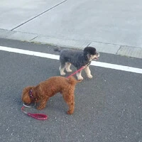 画像274