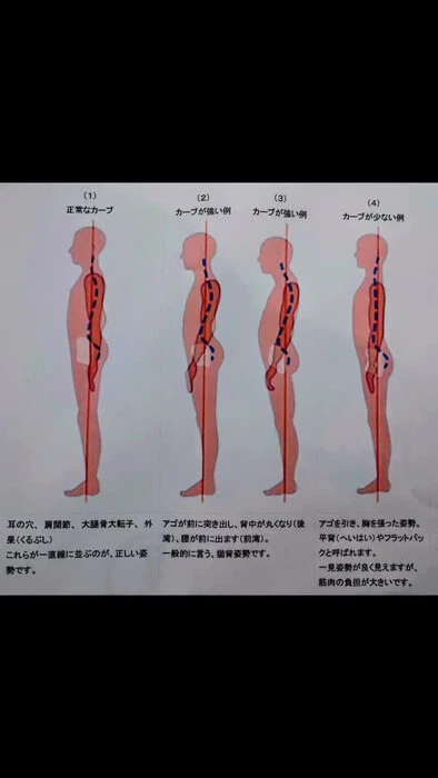 画像278