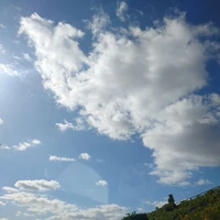 画像303