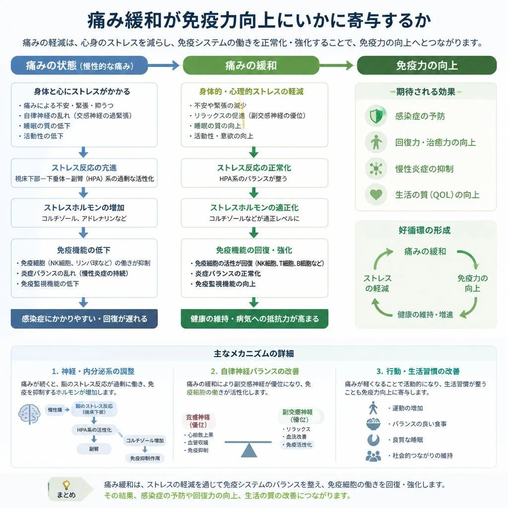 5. 痛み緩和と免疫力向上の関係