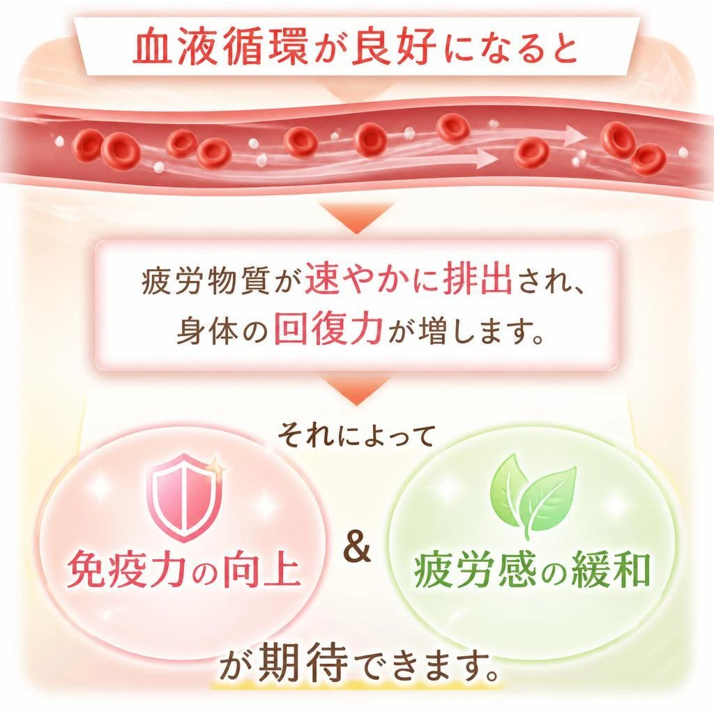 血流改善による健康効果