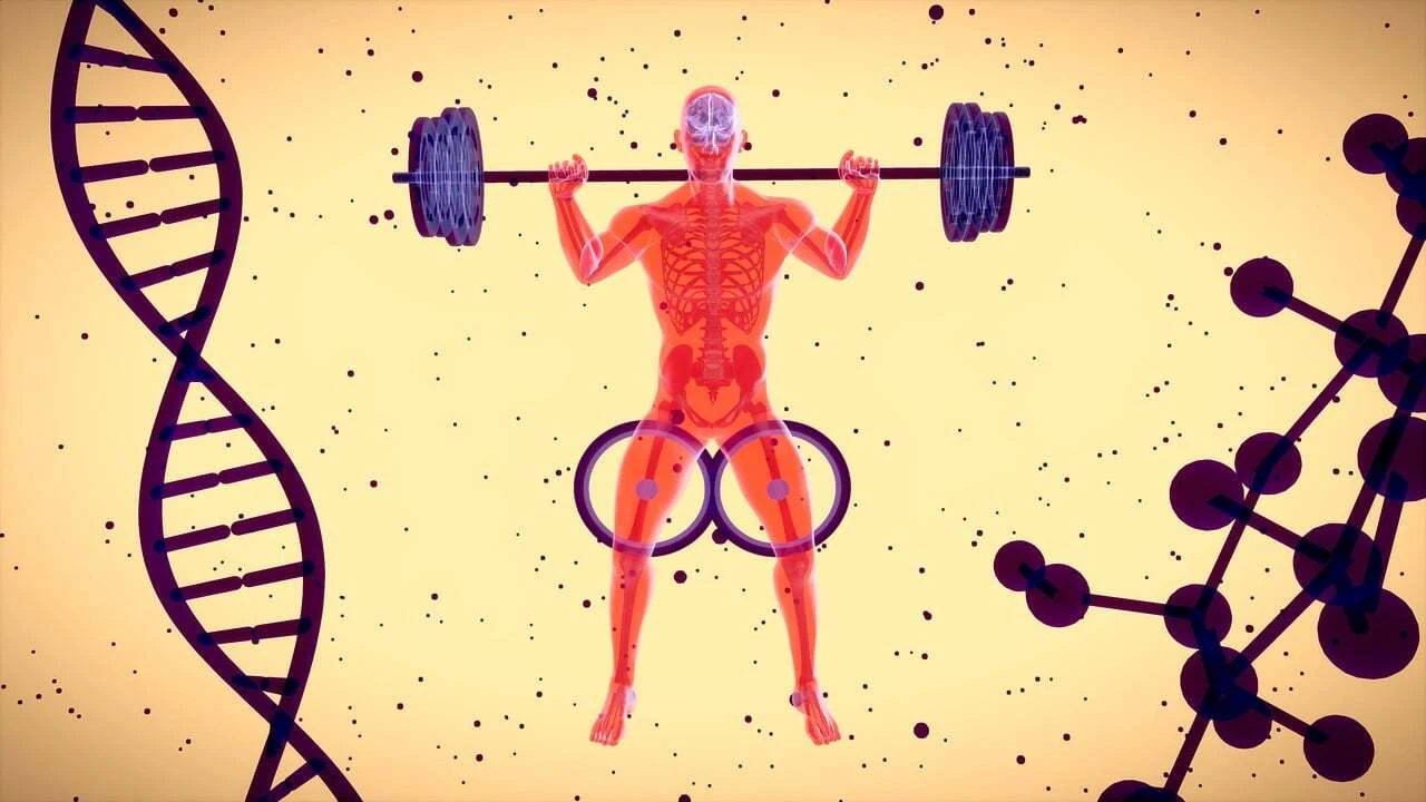 今すぐあなたの身体を変えよう！