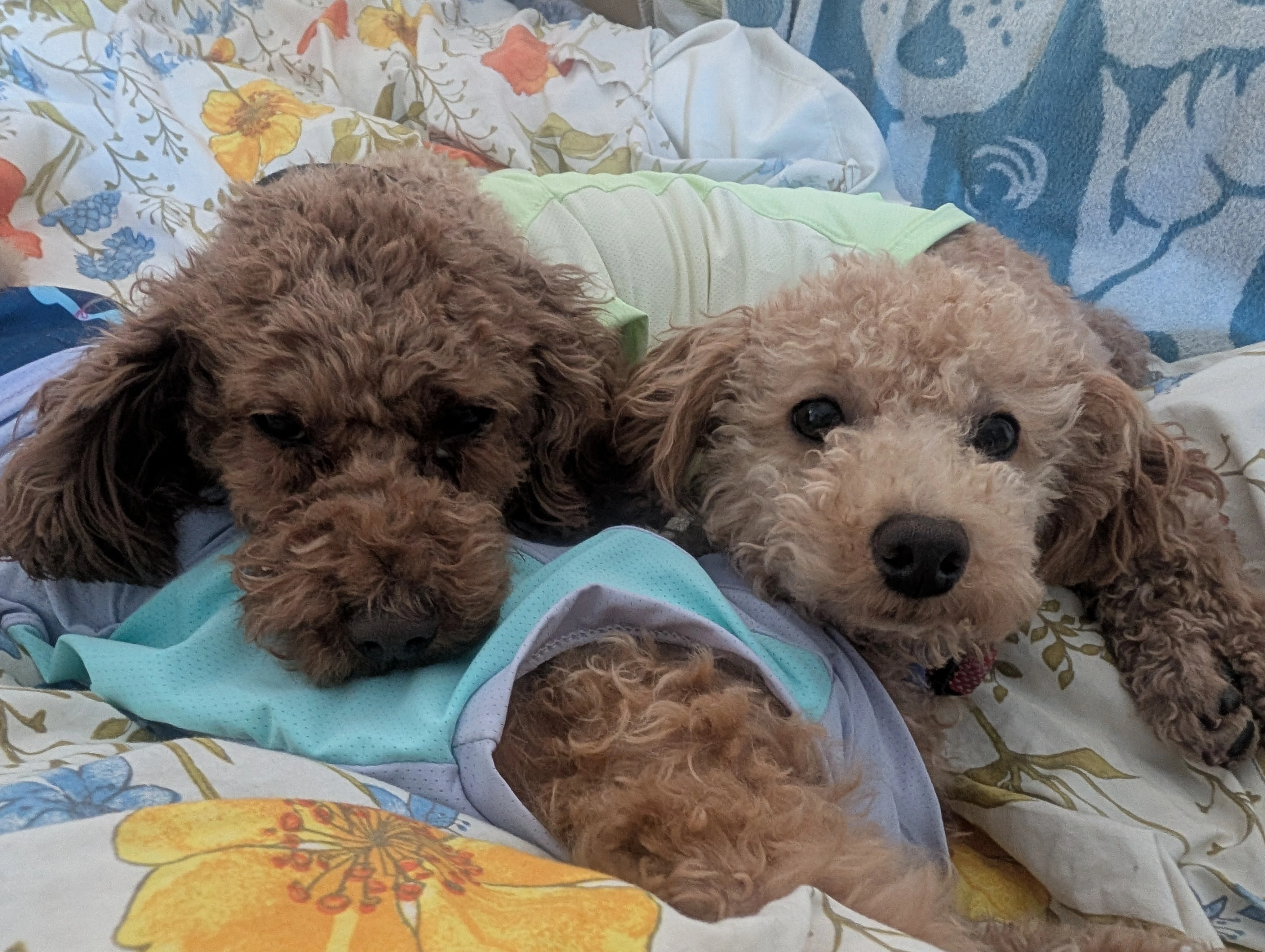 痛みのメカニズムを理解し、無理のない生活への第一歩を