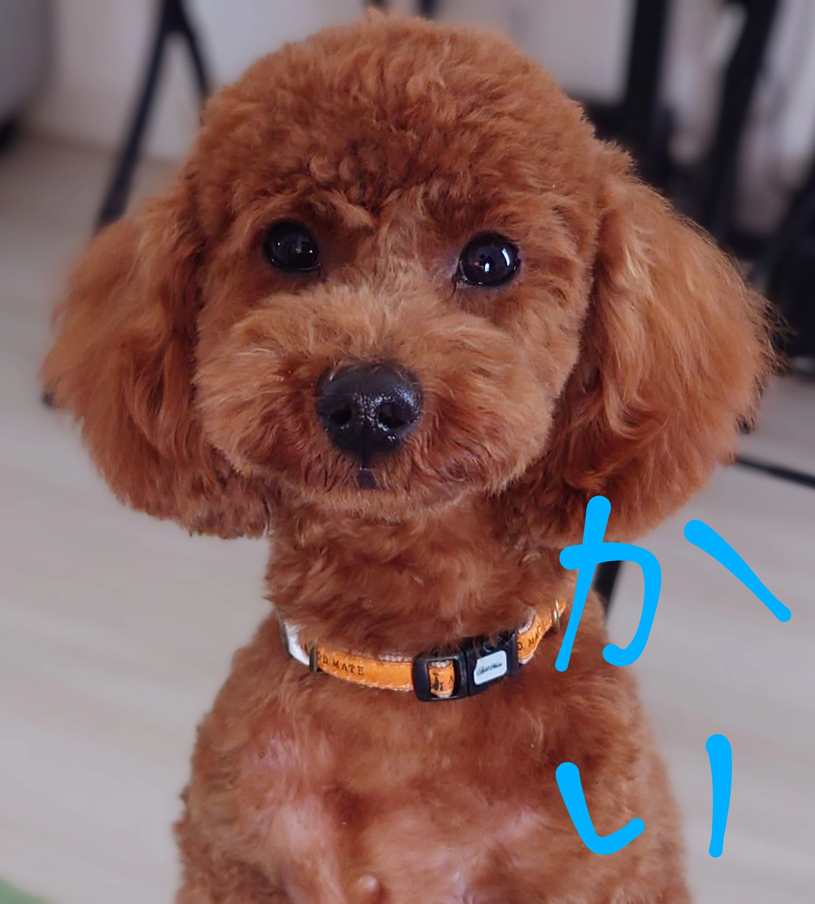今すぐあなたも体験してみましょう！