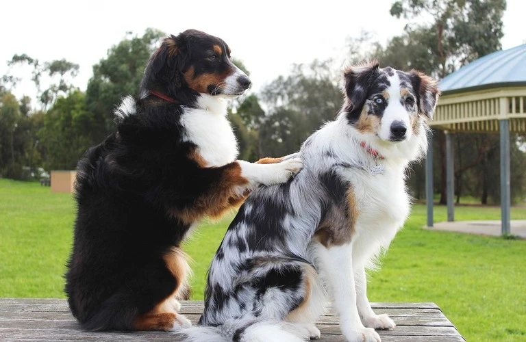 慢性痛を根本から解消し、健やかな身体を取り戻す！